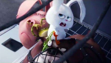 Pets - A Vida Secreta dos Bichos Clipe (3) Original - "The Flushed Pets"