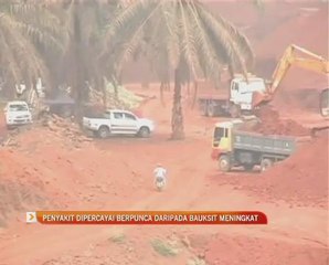 Penyakit dipercayai berpunca daripada Bauksit meningkat