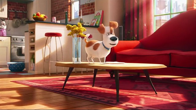 Pets - A Vida Secreta dos Bichos Clipe (4) Original - Trashing the apartment