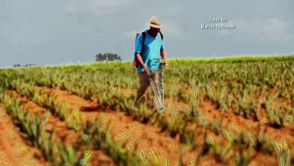 O veneno está na mesa II Trailer