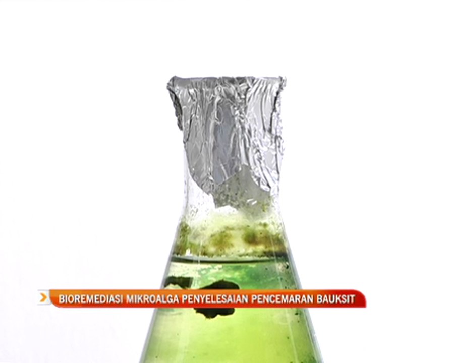 Bioremediasi mikroalga penyelesaian