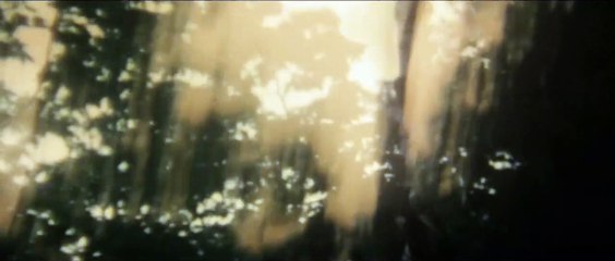 Notes on Blindness Trailer Original