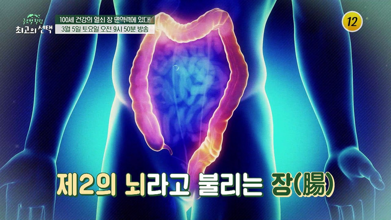100세 건강의 열쇠 장 면역력에 있다!_글로벌 힐링 최고의 선택 36회 예고 TV...