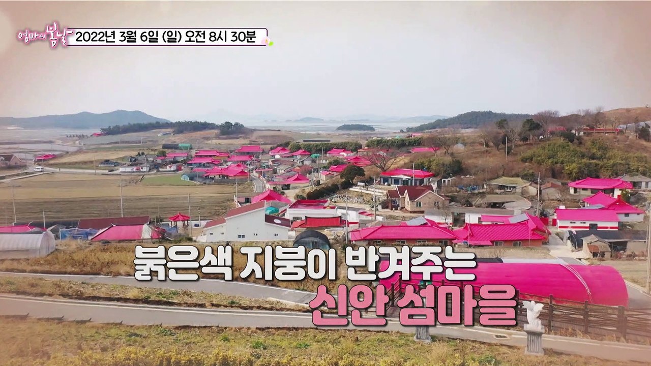 섬마을 부부의 너는 내 운명_엄마의 봄날 338회 예고 TV CHOSUN 220306 방송