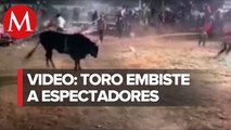 En Michoacán, toro embiste al público durante jaripeo; hay al menos 20 lesionados