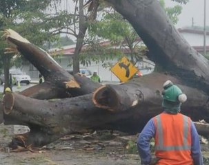 Hurricane Otto swirls toward Central America, kills 3