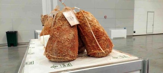 Peynir ve zeytin festivalinde uygun fiyatlar vatandaşı cezbediyor