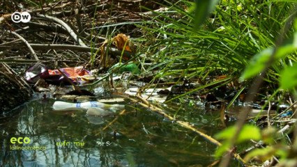 Contaminación en Quintana Roo