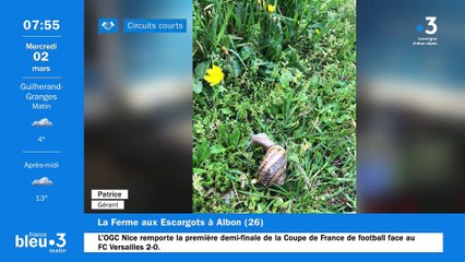 À Albon, la Ferme aux Escargots, des Gros Gris labellisés en Agriculture Biologique