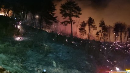 강릉에서도 산불 발생...강한 바람 타고 확산 / YTN