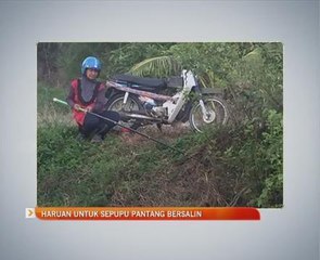 Haruan untuk sepupu pantang bersalin