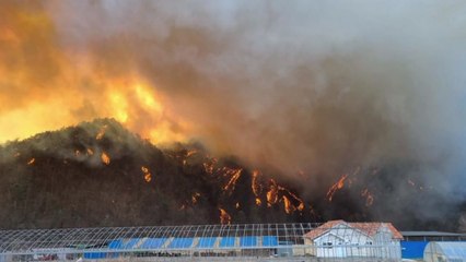 울진·영월·강릉 동시다발 산불...진화 가능한가? / YTN