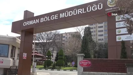 Arkadaşlarına 'beni yalnız bırakın' dedi, odasında intihar etti