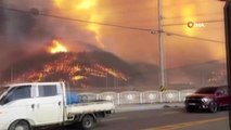 Son dakika... Güney Kore'deki orman yangını Hanul Nükleer Santrali yakınına ulaştı