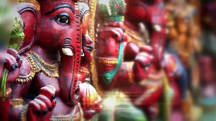 Who is the King_ _ Wild Ones _ Episode 13 _  Documentary