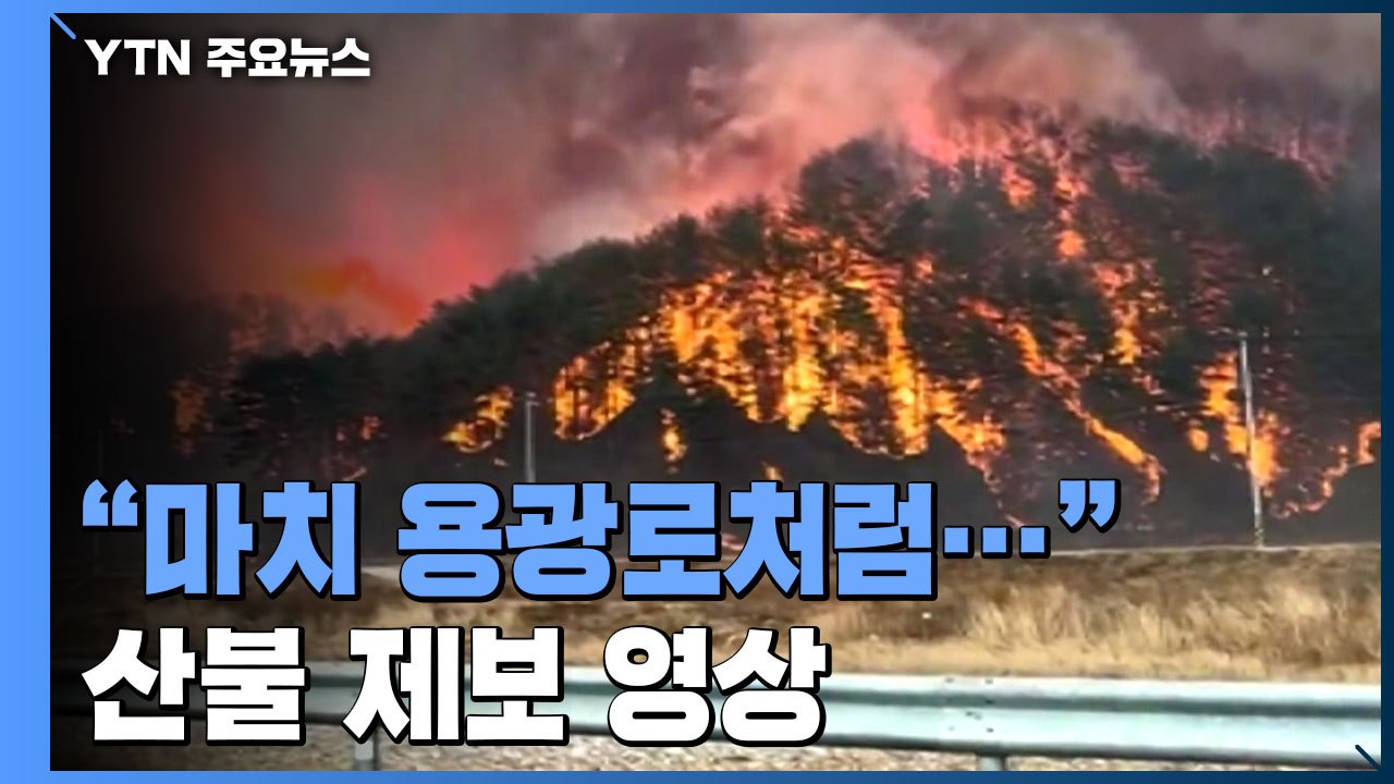 [제보영상] "마치 용광로처럼..." 울진·삼척 산불 현장 / YTN