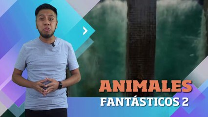 FIN DE PELIS 04 MARZO 2022