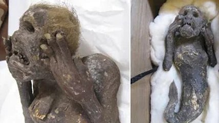 Berwajah seperti manusia tapi berekor, misteri mumia ‘ikan duyung’ bakal dibongkar saintis