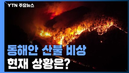 동해안 잇단 산불...방화선 구축해 산불 확산 저지 / YTN