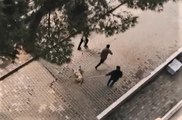 Belediye personelinden sokak köpeğine işkence