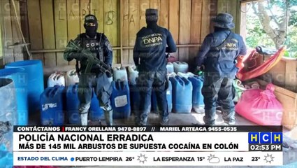 Desmantelan narcolaboratorios y plantación de coca a la estructura criminal “Montes Bobadilla”