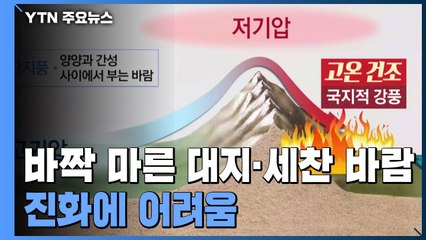 강풍·건조 특보 동시 발령...진화 최악 조건 / YTN