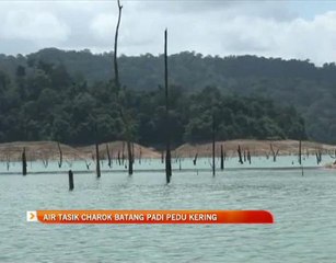 Air Tasik Charok Batang Padi Pedu kering