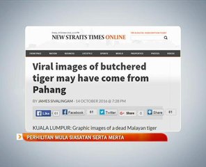 Perhilitan mula siasatan serta merta