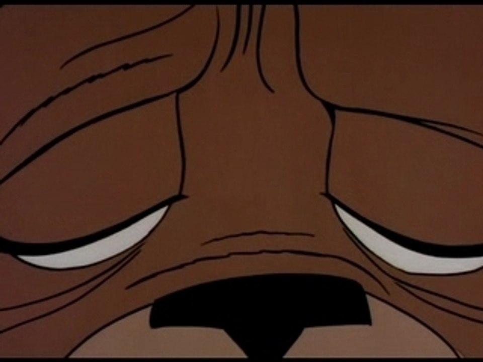 The Bear That Wasn't