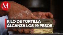 Profeco afirma que precio promedio de tortilla en México es de 19 pesos por kilo