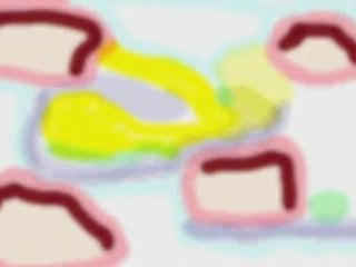 carolina charlotte estate north  http://www.myhomeshop.info