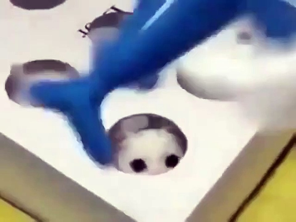 DING DONG CAT'S 