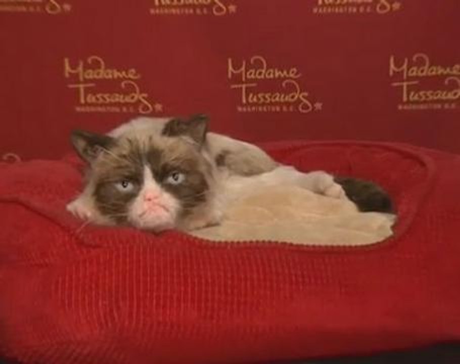 Grumpy Cat unveils waxwork, makes Broadway debut