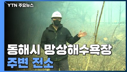 동해시 망상해수욕장 주변 전소...도심 방면으로 확산 / YTN