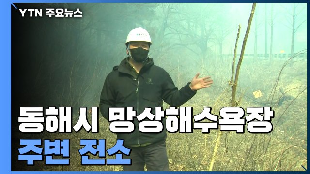 동해시 망상해수욕장 주변 전소...도심 방면으로 확산 / YTN