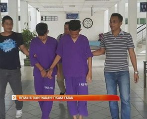 Remaja dan rakan tikam emak