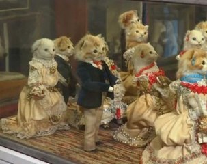 Take a look at NYC's taxidermy exhibition