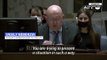 Moscow's UN envoy says 'untrue' Russian military shelled nuclear power plant