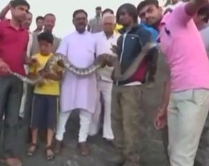 Man attacked by python while taking selfie