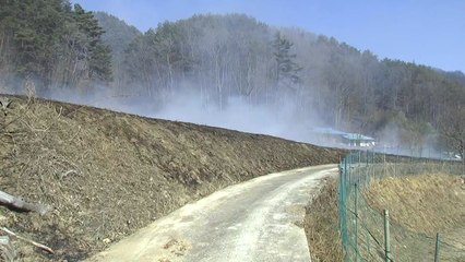 순식간에 화마 휩싸인 경북 울진..."산불, 양방향에서 덮쳤다" / YTN
