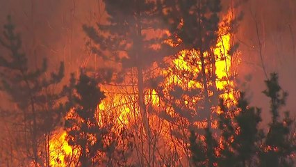 경북·강원 동시다발 산불...진화 상황과 안전 대책은? / YTN