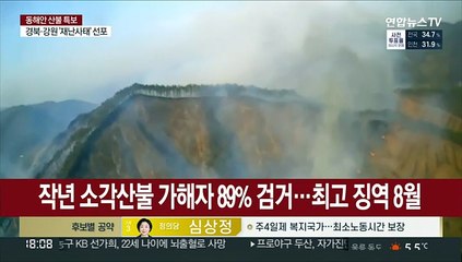 작년 소각산불 가해자 89% 검거…최고 징역 8월