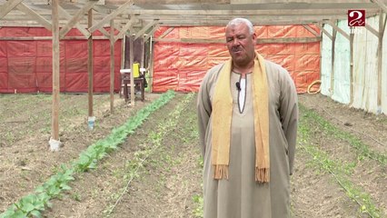 تدوير المخلفات .. تجربة حية لاستخراج الأسمدة العضوية واستخدامها في الزراعة الحديثة بالفيوم