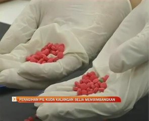 Penagihan pil kuda kalangan belia membimbangkan