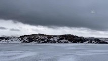 Buzla kaplı Çıldır Gölü'nün martılarını balıkçılar ekmekle besliyor