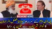 PDM chief Maulana Fazlur Rehman contacts Nawaz Sharif on phone