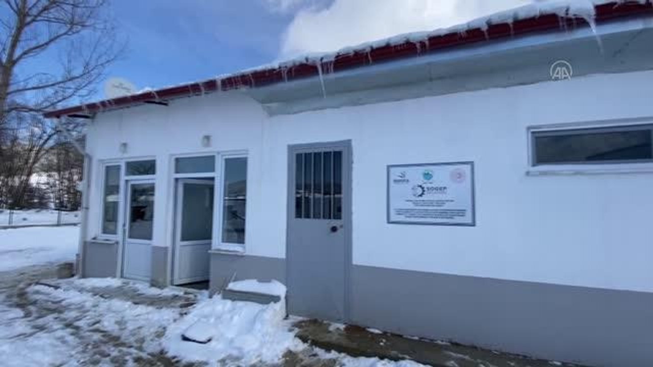 Belediyenin projesiyle yetiştirilen kaz yumurtaları kuluçka makinesine yüklendi
