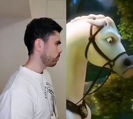 People doing funny and stupid things