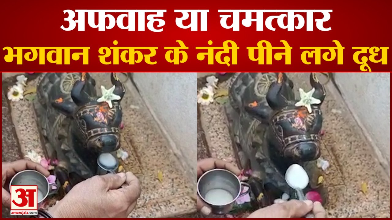एमपी के मंदिरों में फैली अफवाह, भगवान शंकर के नंदी को दूध पिलाने मंदिरों में उमड़ी भीड़ | #Shorts