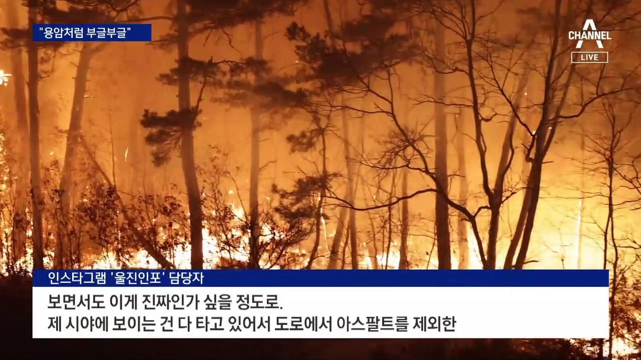 “소 1천 마리 폐사”…제보 영상으로 본 산불 현장